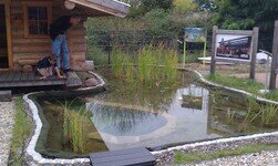 IMAG0315.jpg