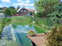 Kopie von Teich 06 100.jpg